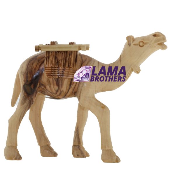 Camel Masterpiece