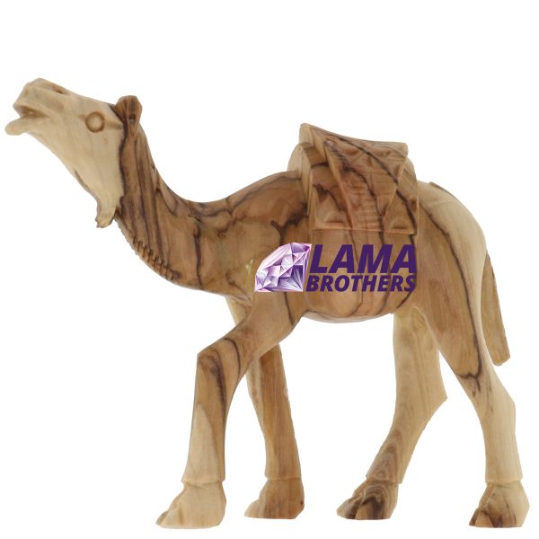 Camel Masterpiece