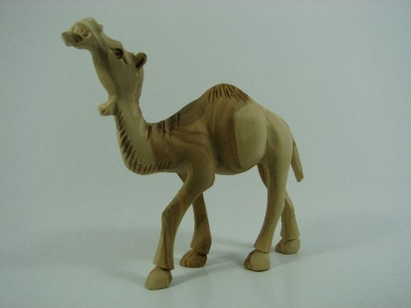 Camel Masterpiece