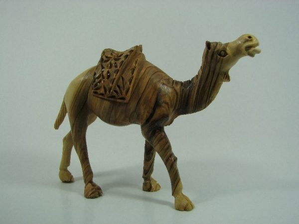 Camel Masterpiece