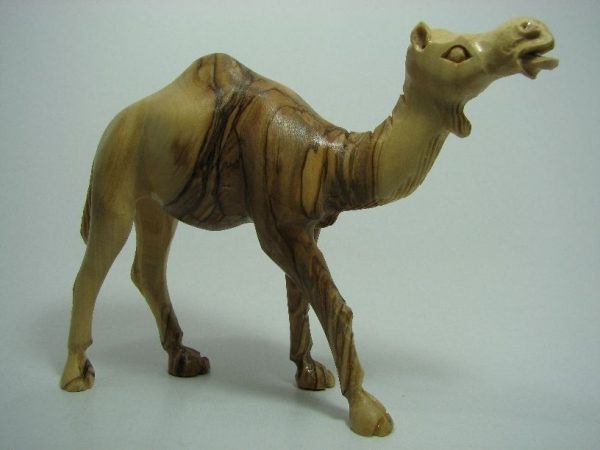 Camel Masterpiece
