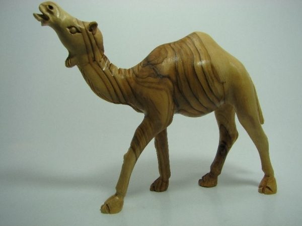 Camel Masterpiece