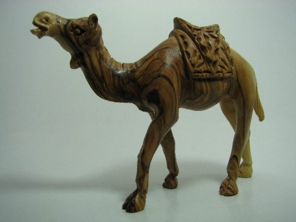 Camel Masterpiece