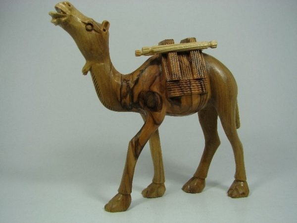 Camel Masterpiece