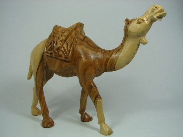 Camel Masterpiece