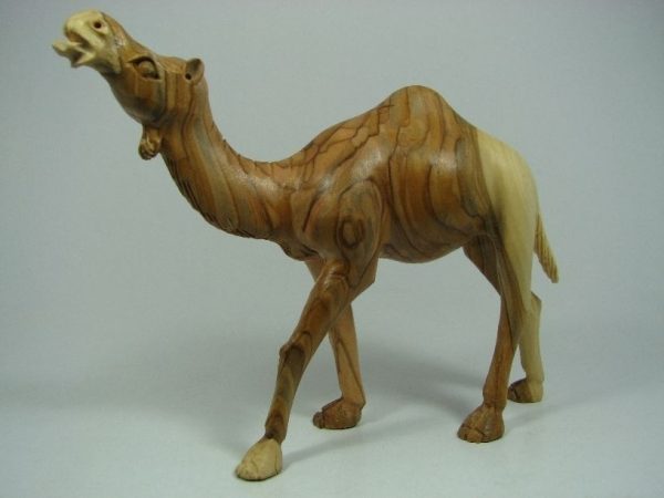 Camel Masterpiece
