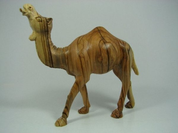 Camel Masterpiece