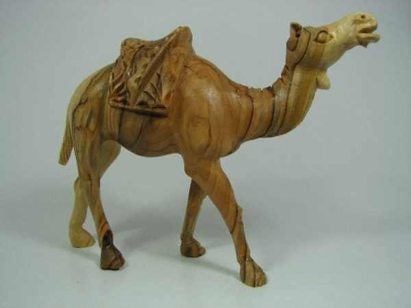 Camel Masterpiece