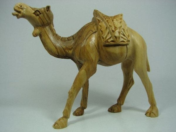 Camel Masterpiece