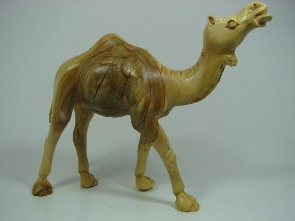 Camel Masterpiece