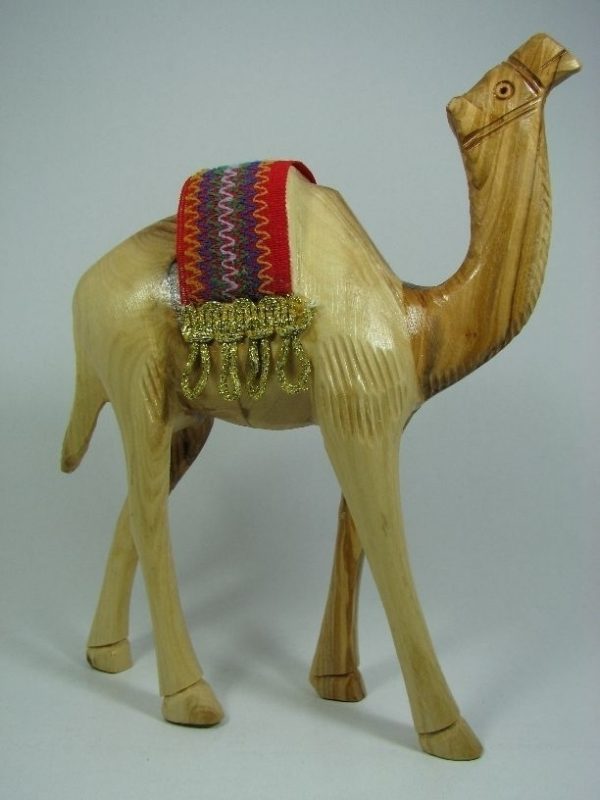 Camel