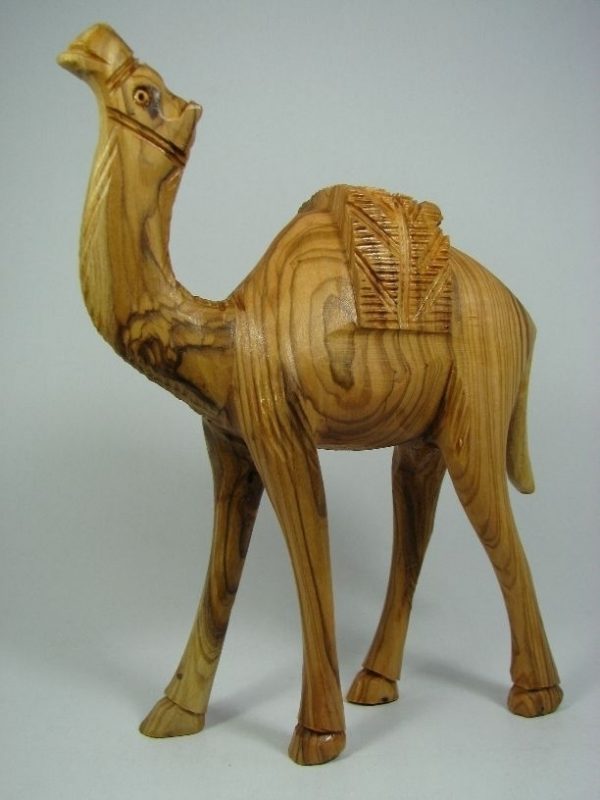 Camel