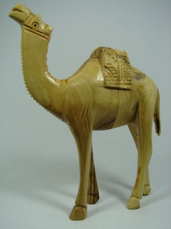 Camel
