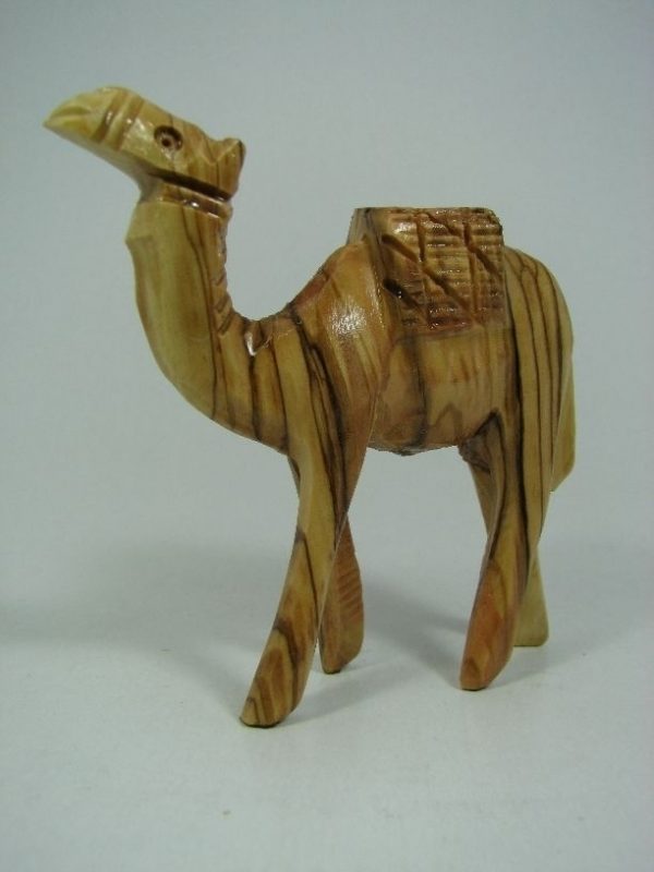 Camel