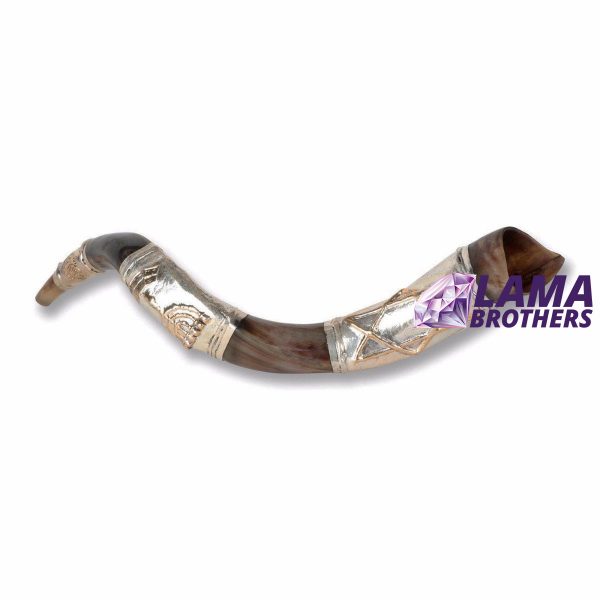 Star of David Shofar