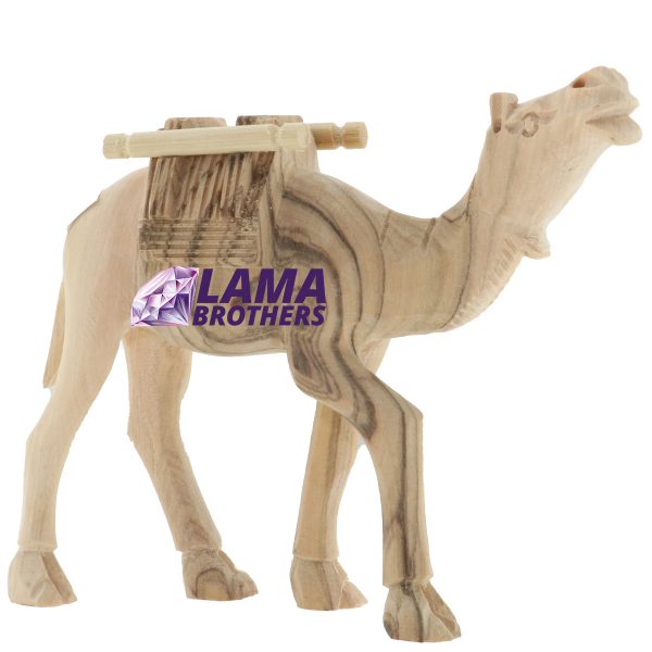 Camel Masterpiece