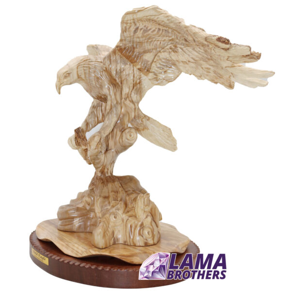 Bald Eagle - Image 4