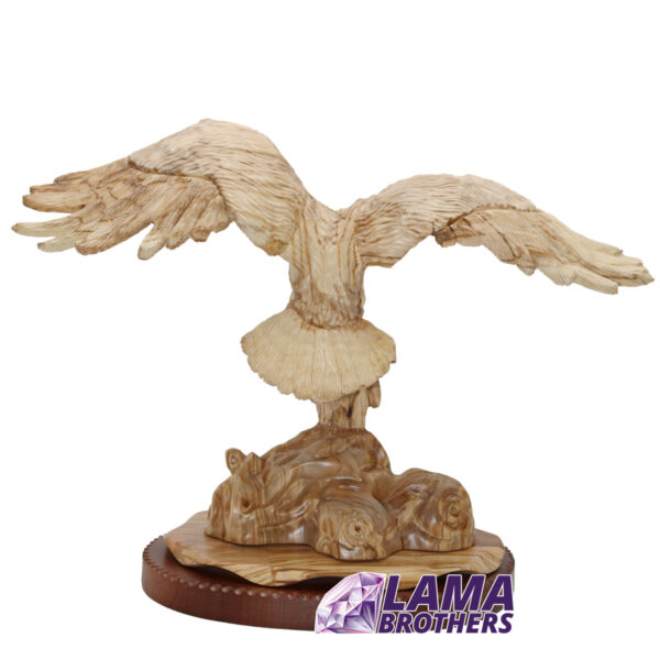Bald Eagle - Image 2